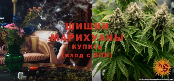 трава Нефтегорск