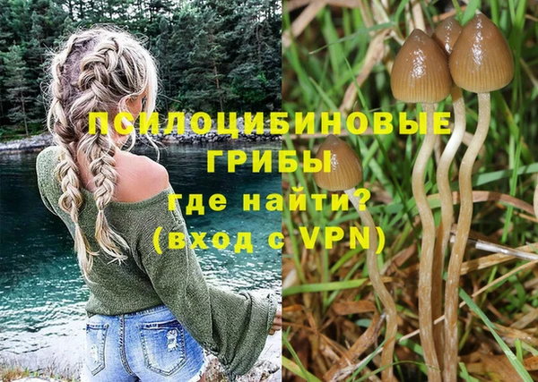 mdpv Нея