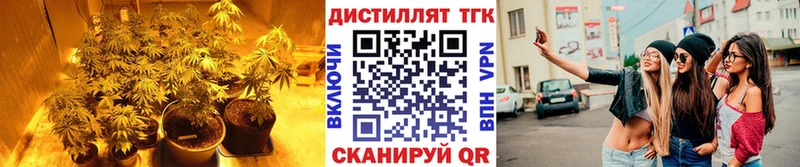 цена   Саров  гидра tor  Дистиллят ТГК концентрат 